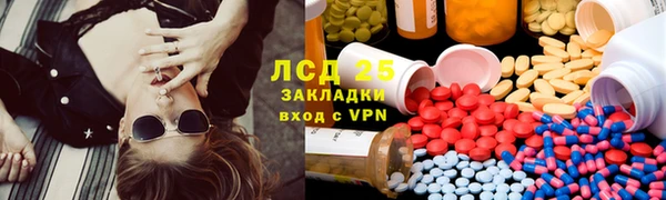 трава Вязьма