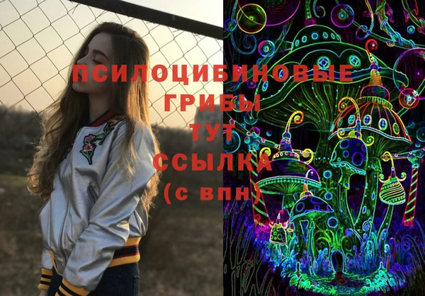 молекула духа Вязники