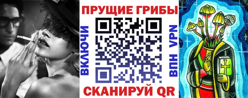 Псилоцибиновые грибы Cubensis  blacksprut зеркало  Чекалин 