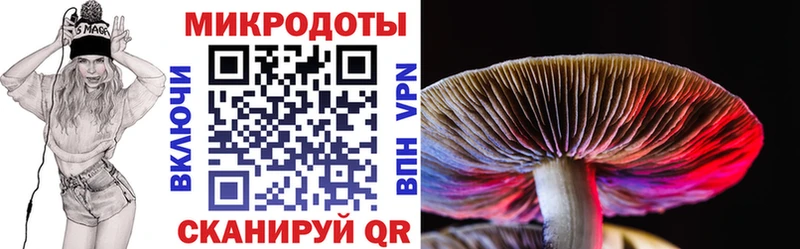 Псилоцибиновые грибы Psilocybe Чекалин